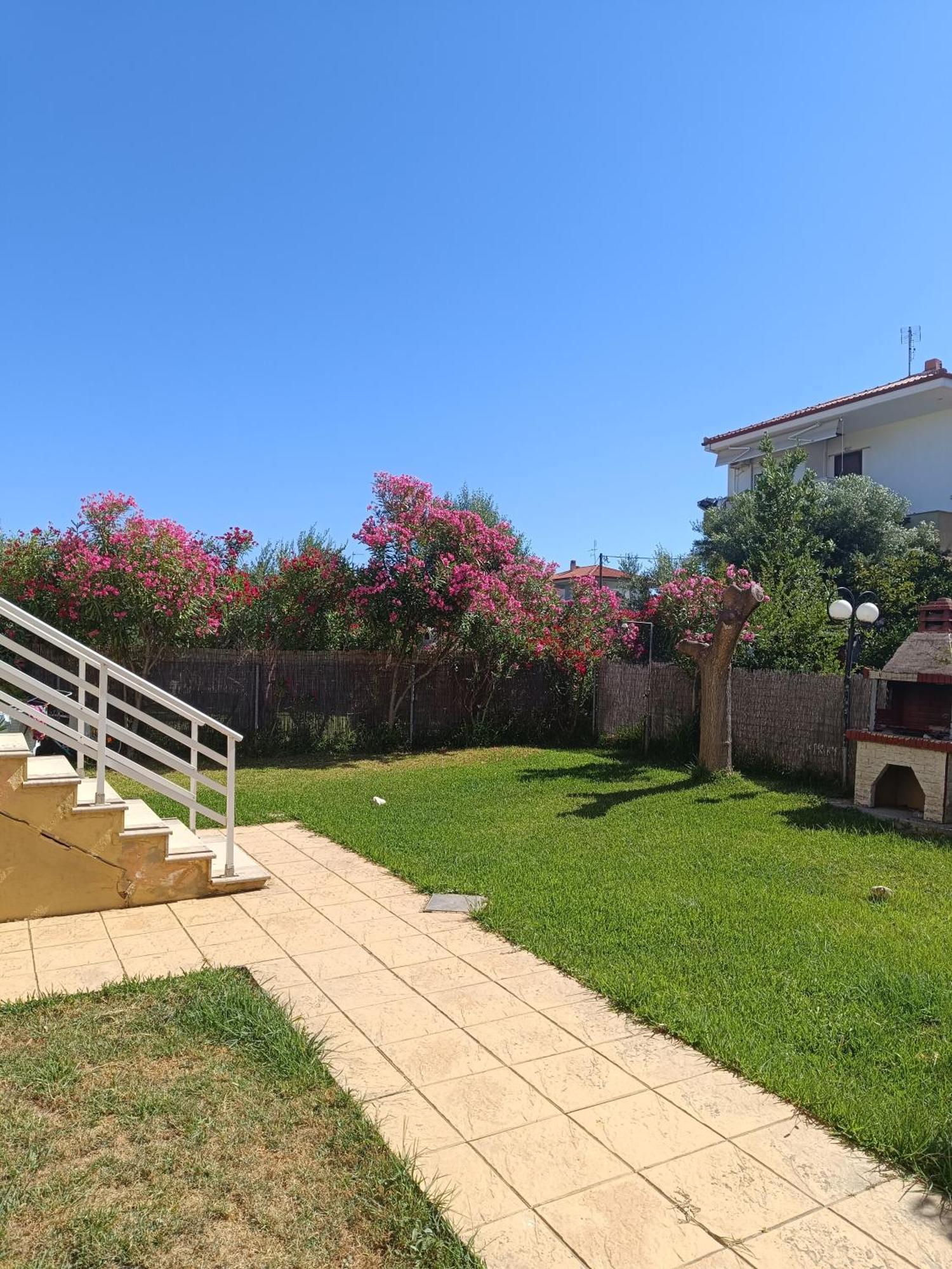 Dimar1 Seaside Apartment Paralia Dionysiou Ngoại thất bức ảnh
